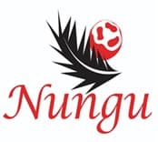 Nungu (Pvt) Ltd logo